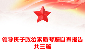 領導班子政治素質考察自查報告共三篇