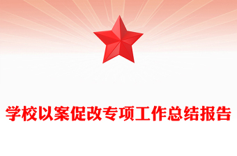 學校以案促改專項工作總結(jié)報告