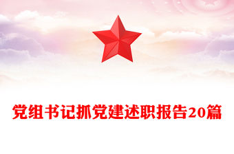 黨組書記抓黨建述職報告20篇