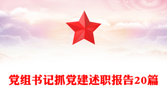 黨組書記抓黨建述職報(bào)告20篇