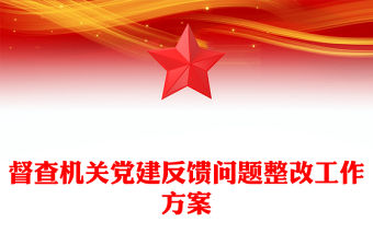 督查機關黨建反饋問題整改工作方案