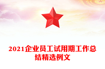 2021企業(yè)員工試用期工作總結(jié)精選例文