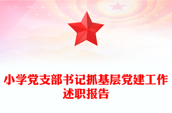 小學(xué)黨支部書記抓基層黨建工作述職報(bào)告