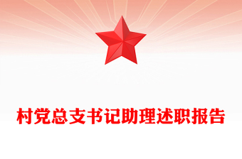 村黨總支書記助理述職報告