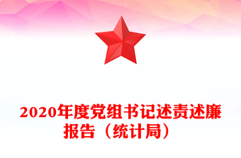 2020年度黨組書記述責述廉報告（統(tǒng)計局）