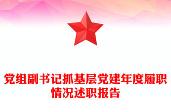 黨組副書記抓基層黨建年度履職情況述職報告