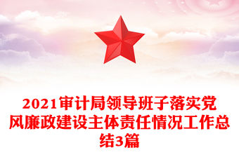 2021審計局領(lǐng)導(dǎo)班子落實黨風(fēng)廉政建設(shè)主體責任情況工作總結(jié)3篇