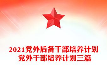 2021黨外后備干部培養(yǎng)計(jì)劃 黨外干部培養(yǎng)計(jì)劃三篇