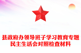 縣政府辦領(lǐng)導(dǎo)班子學(xué)習(xí)教育專題民主生活會對照檢查材料