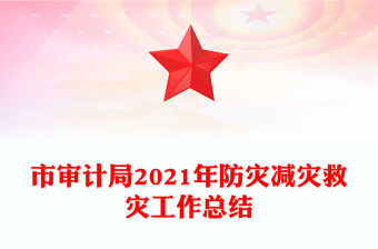 市審計(jì)局2021年防災(zāi)減災(zāi)救災(zāi)工作總結(jié)