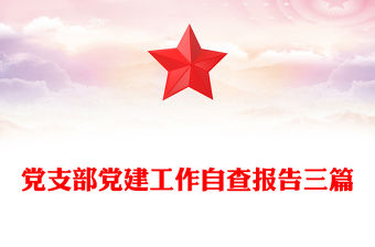 黨支部黨建工作自查報告三篇