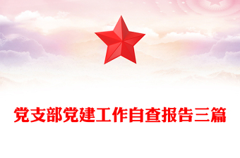 黨支部黨建工作自查報告三篇