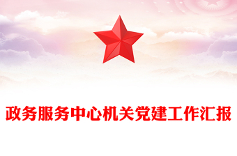政務(wù)服務(wù)中心機關(guān)黨建工作匯報