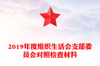 2019年度組織生活會支部委員會對照檢查材料