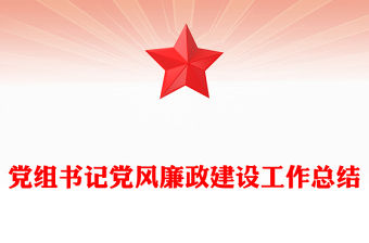 黨組書記黨風廉政建設工作總結