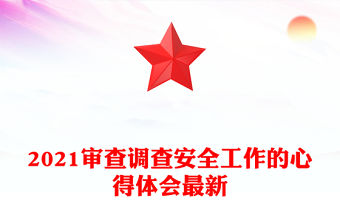 2021審查調查安全工作的心得體會最新