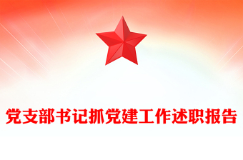 黨支部書記抓黨建工作述職報告