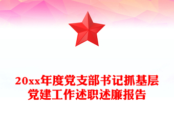 20xx年度黨支部書記抓基層黨建工作述職述廉報(bào)告