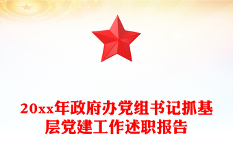 20xx年政府辦黨組書記抓基層黨建工作述職報(bào)告