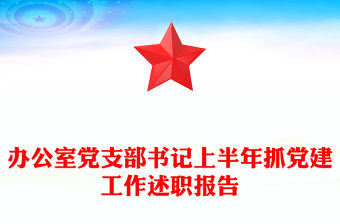 辦公室黨支部書記上半年抓黨建工作述職報告