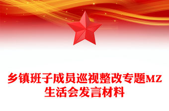 鄉鎮班子成員巡視整改專題MZ生活會發言材料