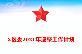 X區(qū)委2021年巡察工作計劃