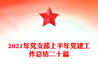 2021年黨支部上半年黨建工作總結(jié)二十篇