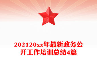 202120xx年最新政務(wù)公開工作培訓(xùn)總結(jié)4篇