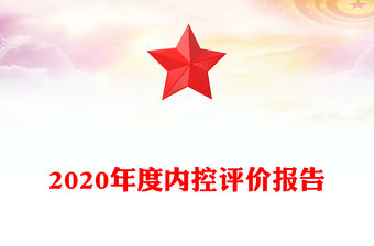 2020年度內(nèi)控評價報告