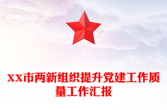 XX市兩新組織提升黨建工作質(zhì)量工作匯報