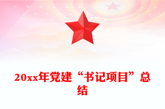 20xx年黨建“書記項(xiàng)目”總結(jié)