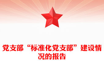 黨支部“標準化黨支部”建設情況的報告