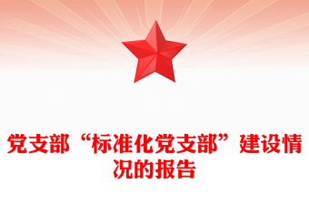 黨支部“標準化黨支部”建設情況的報告