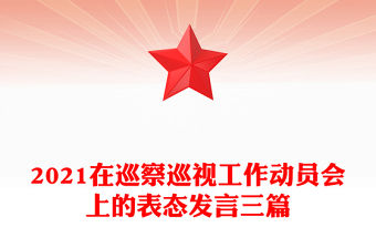 2021在巡察巡視工作動員會上的表態發言三篇