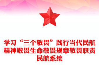 學習“三個敬畏”踐行當代民航精神敬畏生命敬畏規章敬畏職責民航系統