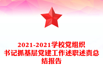 2021-2021學校黨組織書記抓基層黨建工作述職述責總結報告