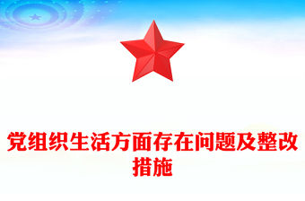 黨組織生活方面存在問題及整改措施