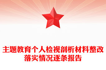 主題教育個(gè)人檢視剖析材料整改落實(shí)情況逐條報(bào)告