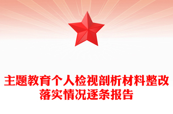 主題教育個(gè)人檢視剖析材料整改落實(shí)情況逐條報(bào)告