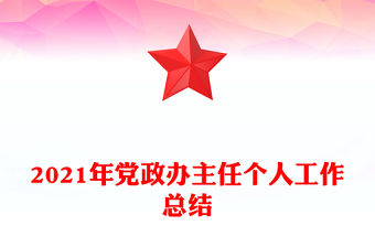2021年黨政辦主任個人工作總結