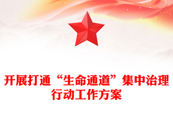 開(kāi)展打通“生命通道”集中治理行動(dòng)工作方案