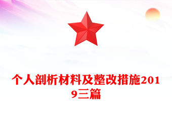 個人剖析材料及整改措施2019三篇