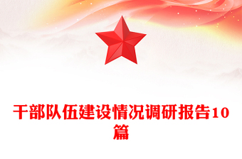 干部隊伍建設(shè)情況調(diào)研報告10篇