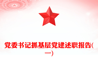 黨委書記抓基層黨建述職報告(一)