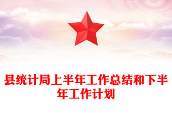 縣統計局上半年工作總結和下半年工作計劃
