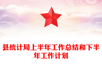 縣統(tǒng)計(jì)局上半年工作總結(jié)和下半年工作計(jì)劃