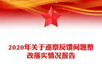 2020年關于巡察反饋問題整改落實情況報告