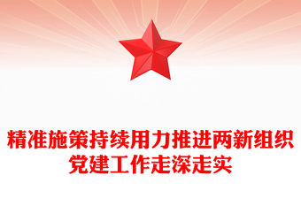 精準施策持續用力推進兩新組織黨建工作走深走實