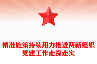 精準(zhǔn)施策持續(xù)用力推進(jìn)兩新組織黨建工作走深走實(shí)