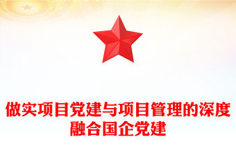 做實項目黨建與項目管理的深度融合國企黨建